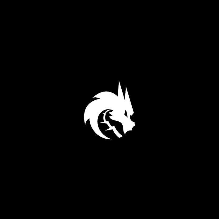 Аватар клана team SPIRT