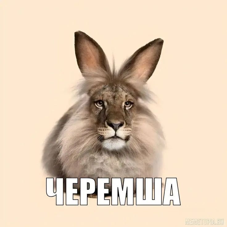 Аватар клана (s1mple_peek