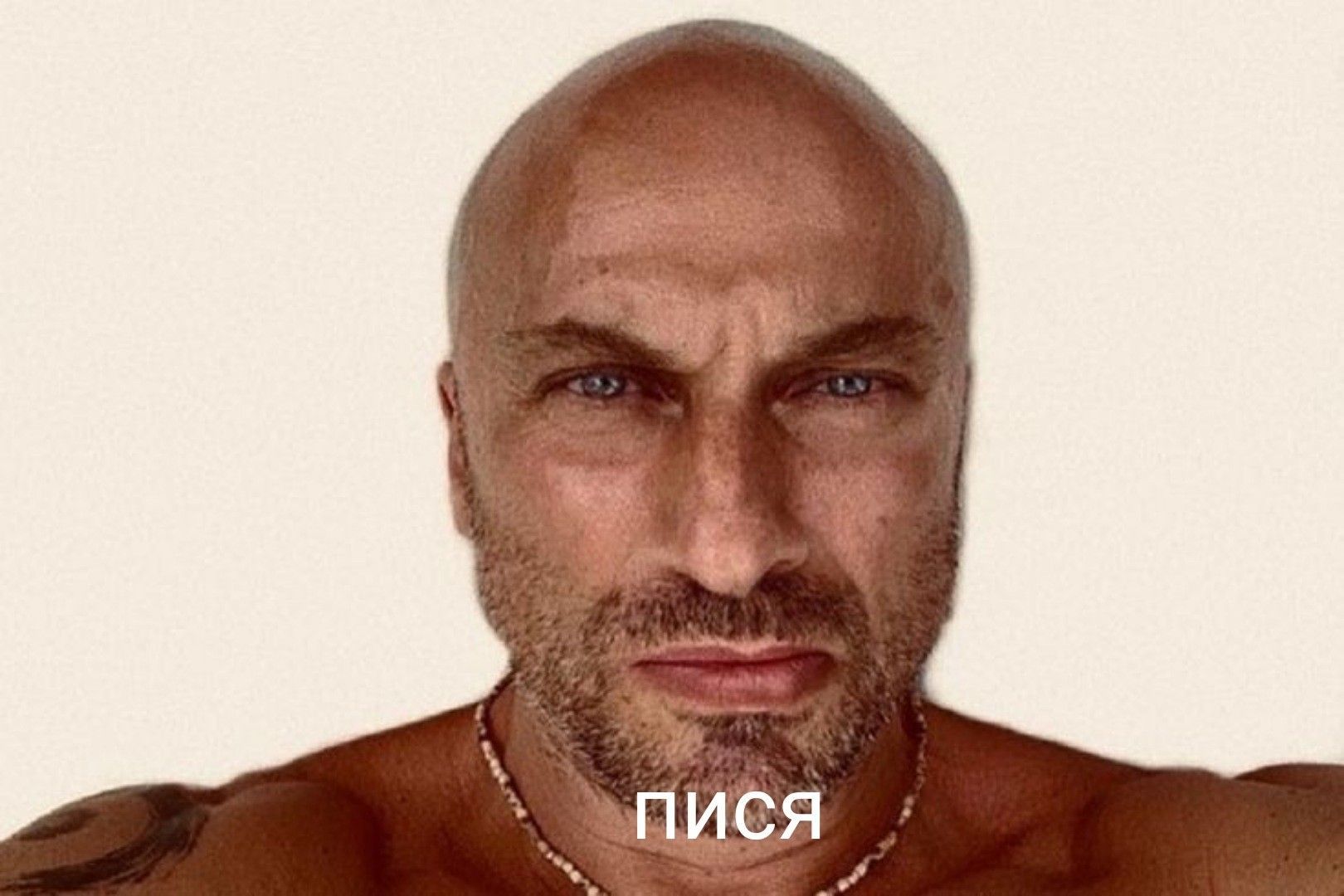 Аватар клана