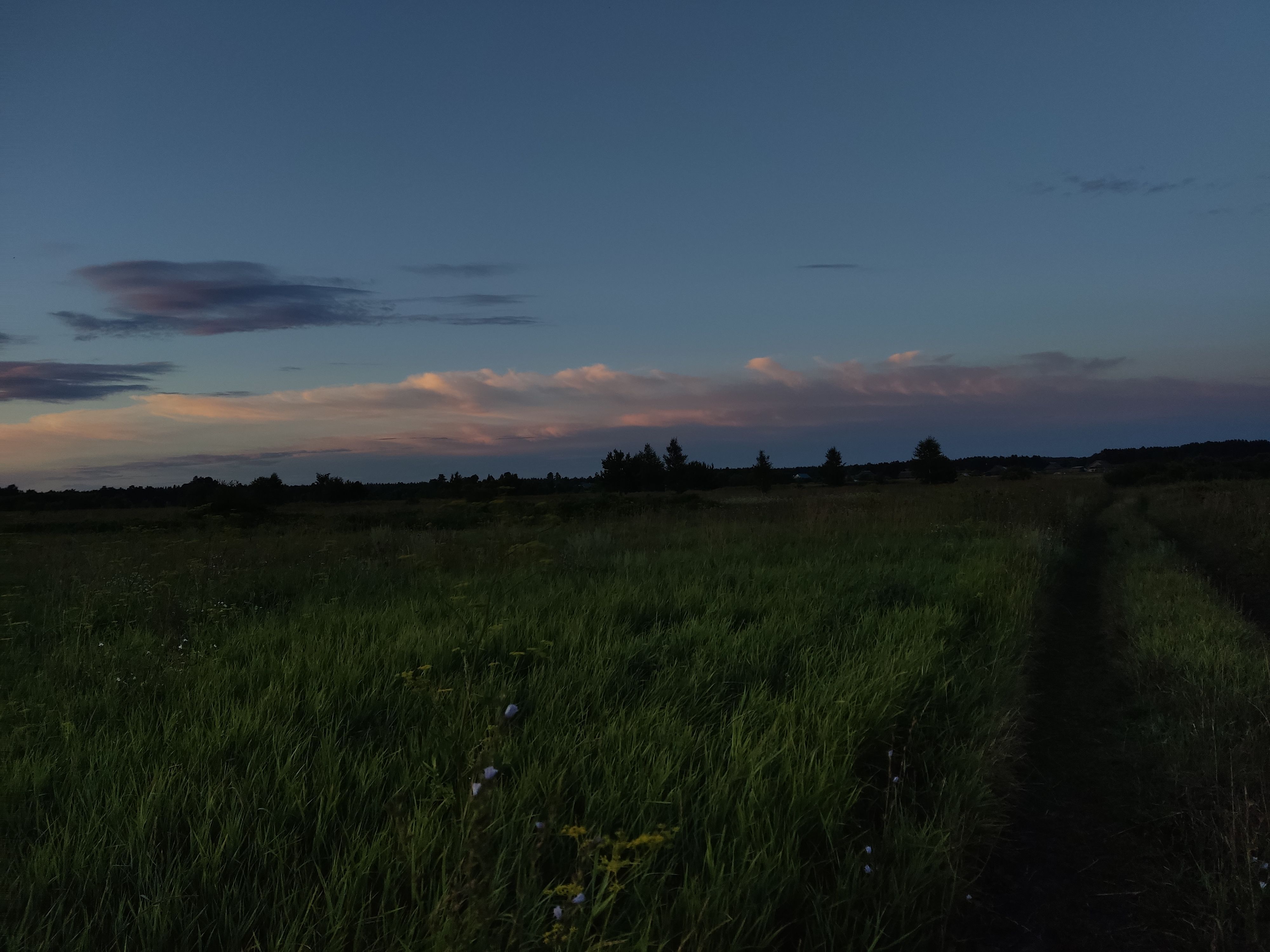 Аватар клана