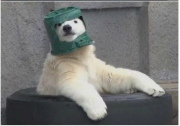 Аватар клана