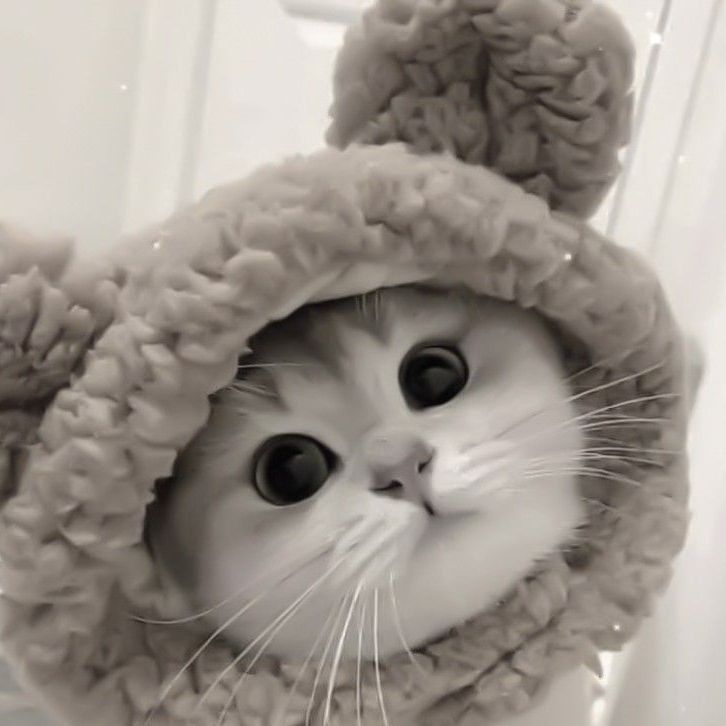 Аватар клана