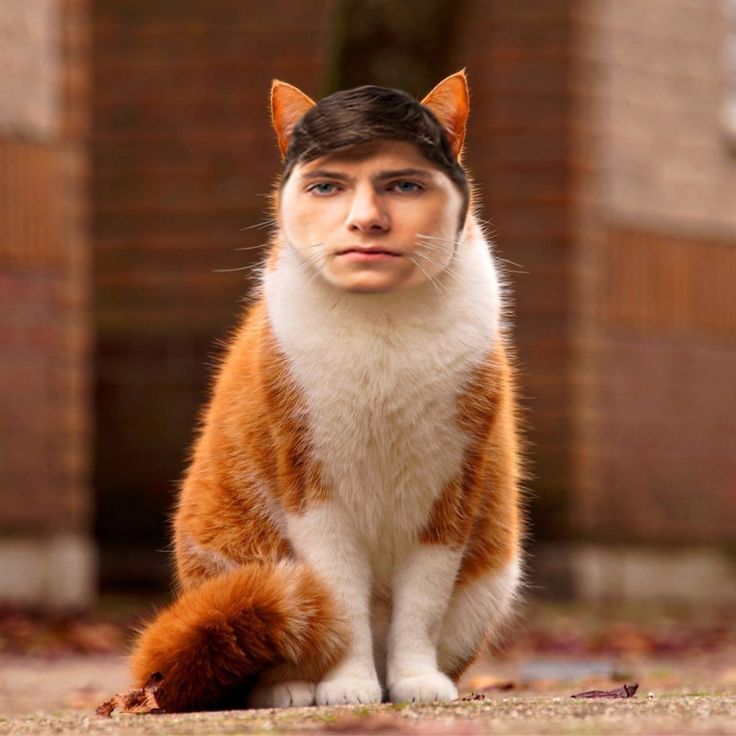 Аватар клана