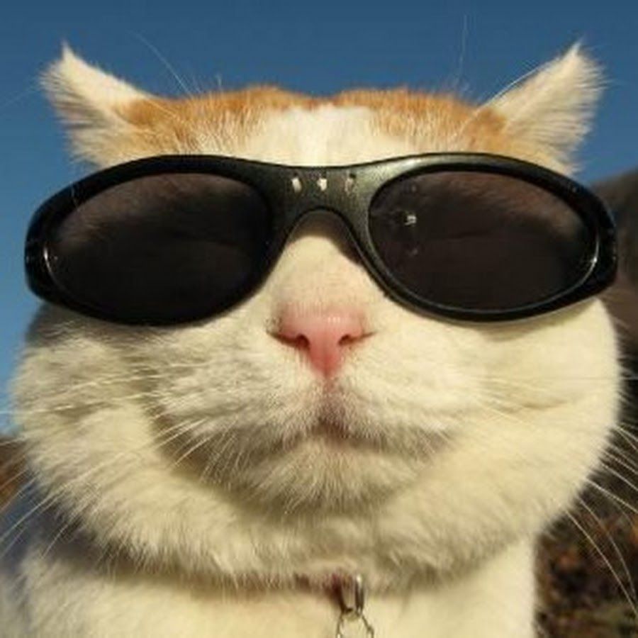 Аватар клана