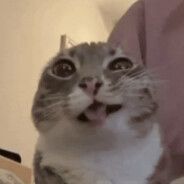 Аватар клана