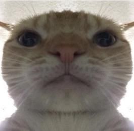 Аватар клана