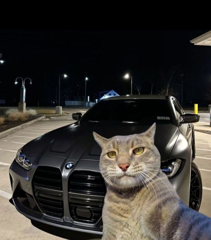 Аватар клана