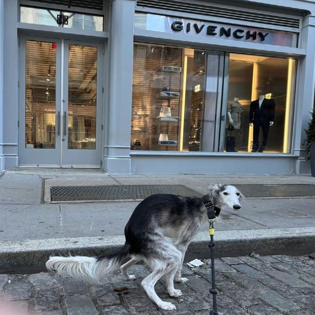 Аватар клана