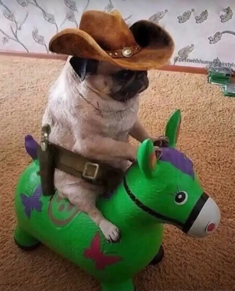 Аватар клана